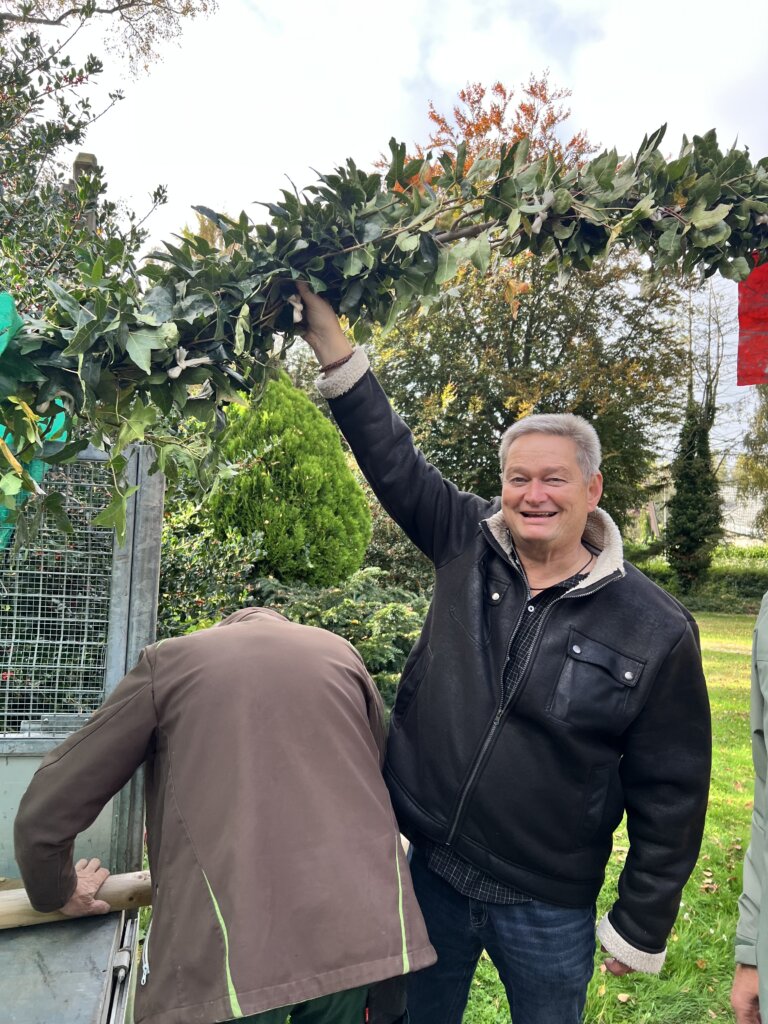 Baumlieferung